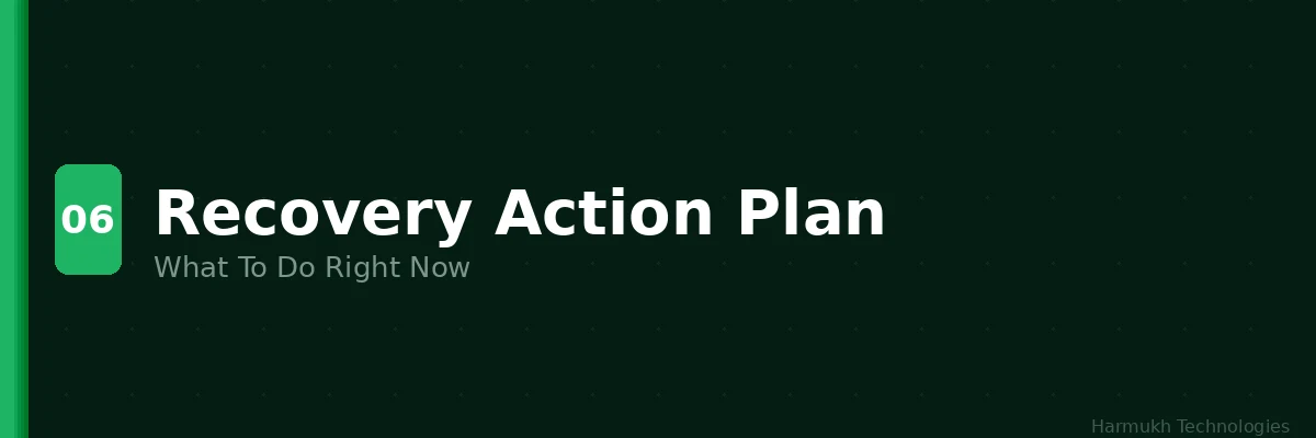 Recovery action plan for Google February 2026 update